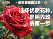 如何在虚拟世界驯养爱情？游戏圈养玫瑰攻略全解析