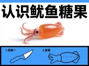 鱿鱼糖果游戏攻略：掌握秘诀，轻松通关！