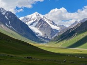 阿拉希高地：生态秘境还是资源争夺场？揭秘争议背后的数据真相