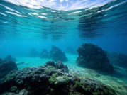 主礁湖：地球的天然屏障为何面临“生态崩盘”？最新数据揭示生存指南