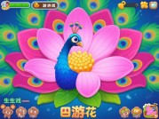 《孔雀开花游戏核心策略全解析：新手如何用5步解锁“开花”密码》