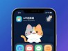 迷路的猫