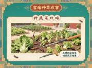 《宫廷种菜攻略：从新手到大神的必修课》
