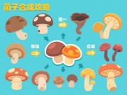 菌子合成游戏攻略：从新手到菌王的逆袭之路——菌种搭配、资源管理与进阶技巧全解析