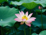 曾莲：如何用数字化战略重构传统零售？揭秘她的三大破局法则