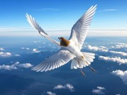 ：踏云：企业数字化转型的下一站？2023年云端革命的五大核心洞察