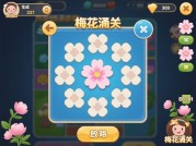 梅花通关游戏攻略：如何破解谜题背后的思维密码？——从新手到高玩的实战策略全解析