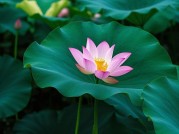 也慈如何破解用户增长瓶颈？独家拆解技术驱动型企业的3大破局法则