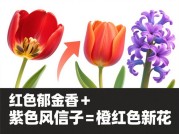杂交游戏攻略：解锁游戏中的神秘杂交世界