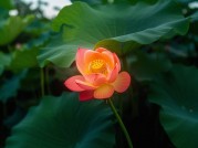 柔化革命：如何用“软化思维”重构现代生活的硬边界？