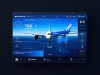 模拟飞行787