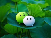 《微信名称背后的社交密码：如何用"命名艺术"提升个人IP价值？》